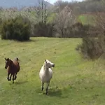 Le Sorgenti *