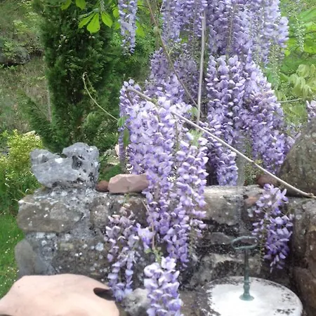 Alloggio per agriturismo Le Sorgenti *