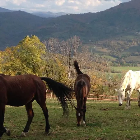 Le Sorgenti Séjour à la ferme Pieve San Nicolo