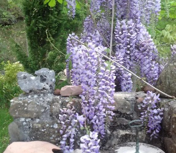 ファームステイ Le Sorgenti *