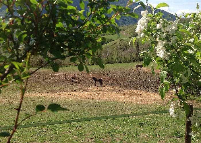 Le Sorgenti Pieve san Nicolo