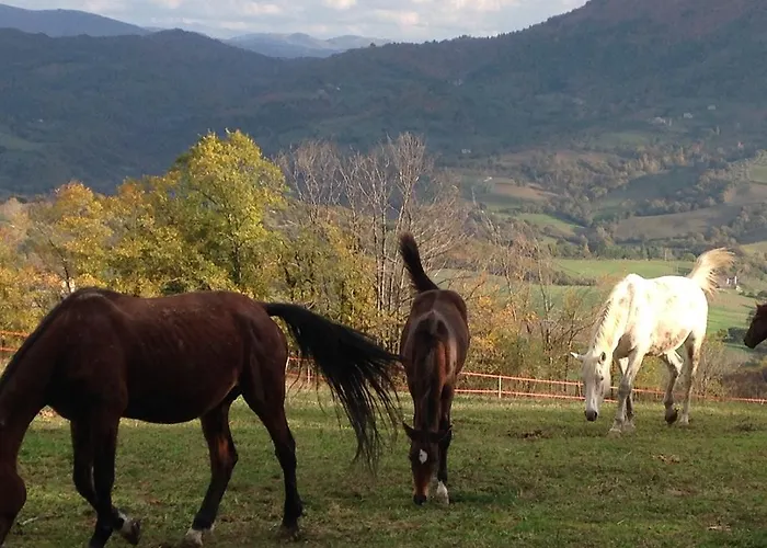 Le Sorgenti ファームステイ Pieve san Nicolo